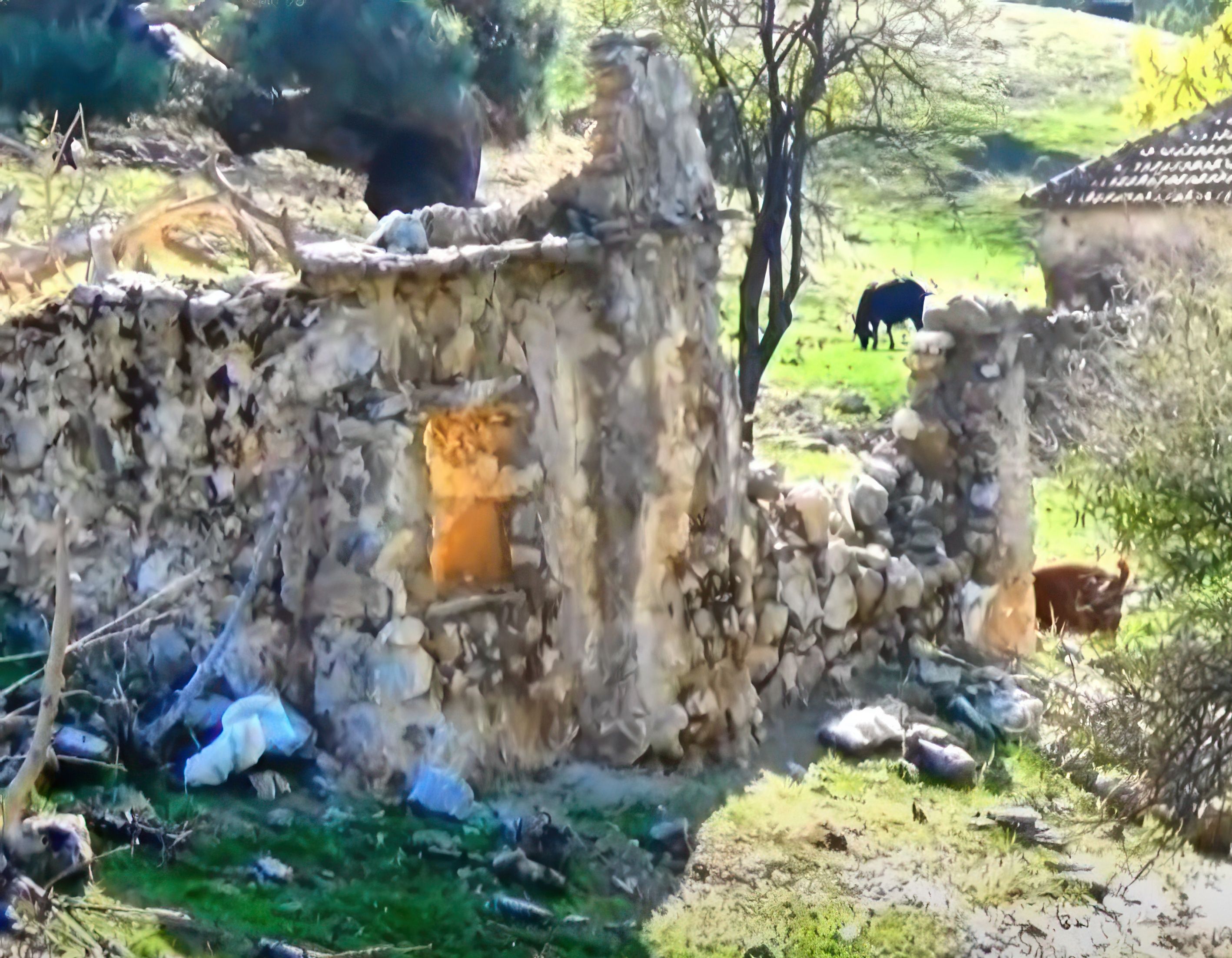 Kayan Village